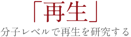 「あの時」を呼び起こす力
